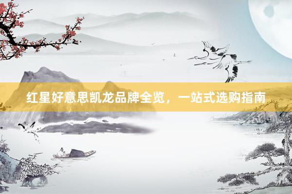 红星好意思凯龙品牌全览，一站式选购指南