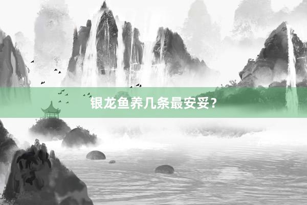 银龙鱼养几条最安妥？